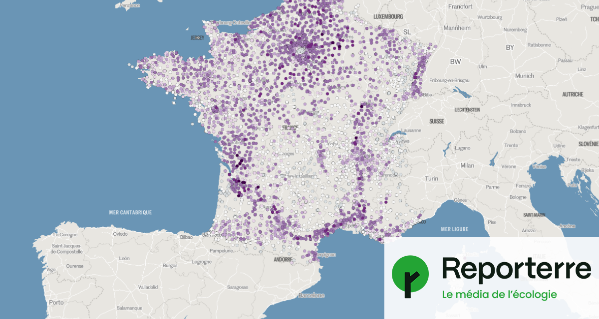 Carte de France où des points violets situent les établissements scolaires exposés aux pesticides.