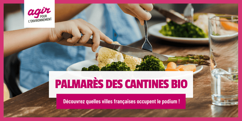 Mains d’enfant coupant du brocoli dans une assiette de légumes.